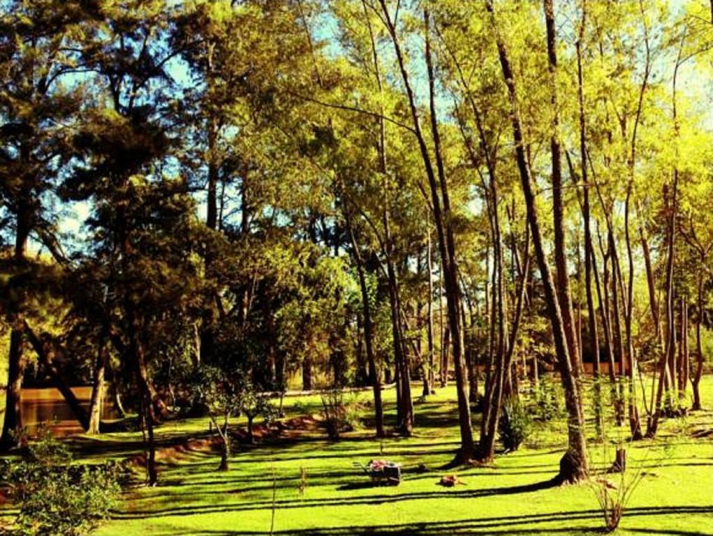 טיגרה Cabanas Isla San Jose חדר תמונה